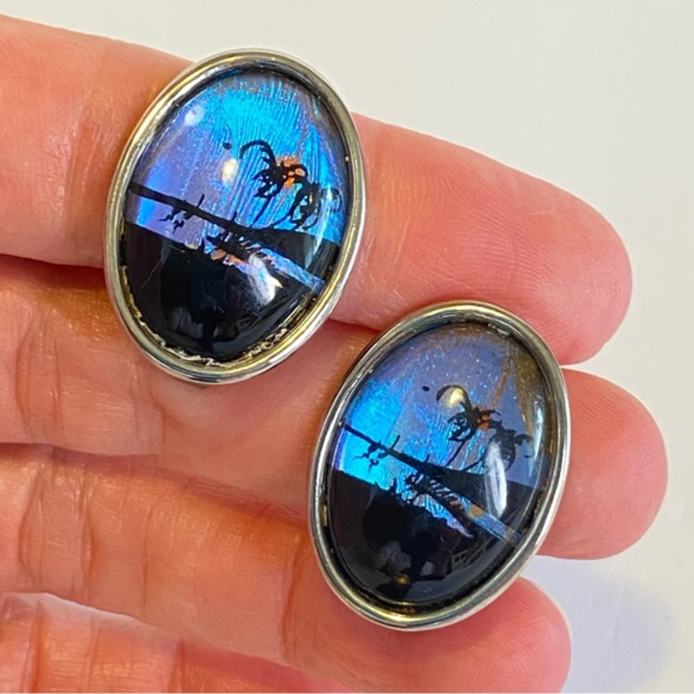 Vintage Reverse Painted‎ Butterfly Wing Earrings Tropical Scene Clip On Jewelry